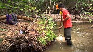 Summer Accelerator, Mud Creek Case Study: Student Research on Stream Health