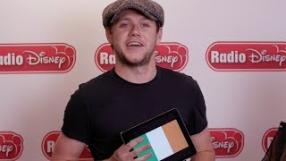 Niall Horan Usa Vs Ireland Radio Disney