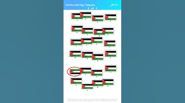 Find the Odd Flag - Part 13 | Improve Your Memory | Short