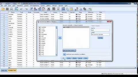 Simple Linear Regression with One Binary Categorical Variable in SPSS