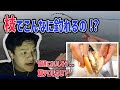 【REACTION】WATCHING THE VIDEO OF CATCHING FISH AND THE HAMBURGER MADE ME CRY【Euriece/ユリース】