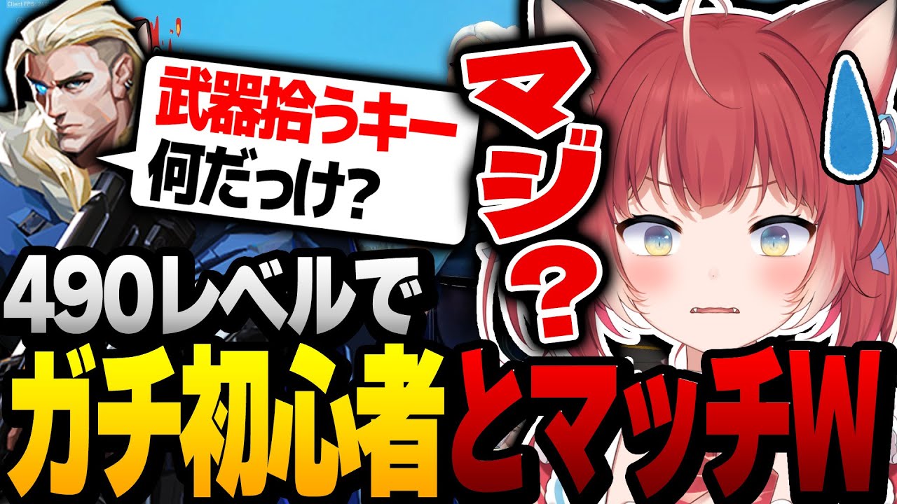 490レベルのかるび、ガチ初心者と同じマッチでショックを受ける 