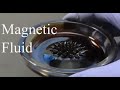 Visualizing Magnetic Fields with Ferrofluid