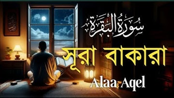 সূরা আল বাকারা | Al-Baqara (سورة البقره)|Most Beautiful Reaction of Surah Baqarah