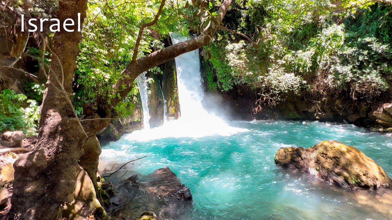 Голанские высоты. На границе с Ливаном. Ручей Хермон (баниас). Естественный запас