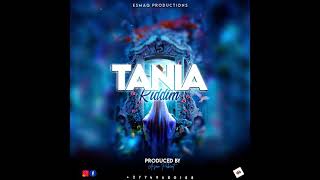 Zimdancehall Instrumental Taniaraggasdanle Recording In Progress