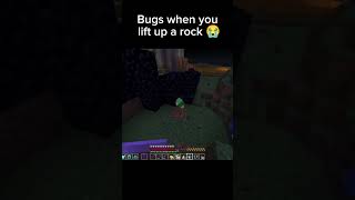 Birds when you lift up a rock 😭🥀 Minecraft Unstable Smp #shorts #memes