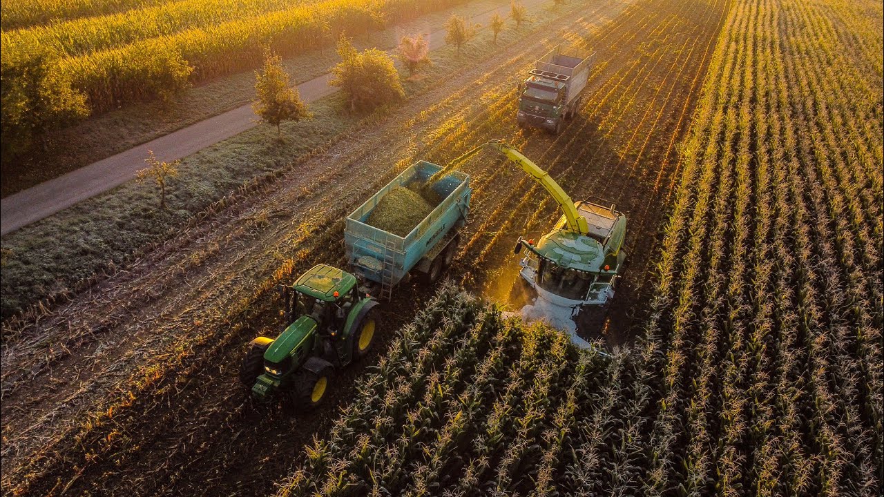 Frosty Corn Silage 2021 John Deere 8300i & John Deere 460 Plus, Tatra