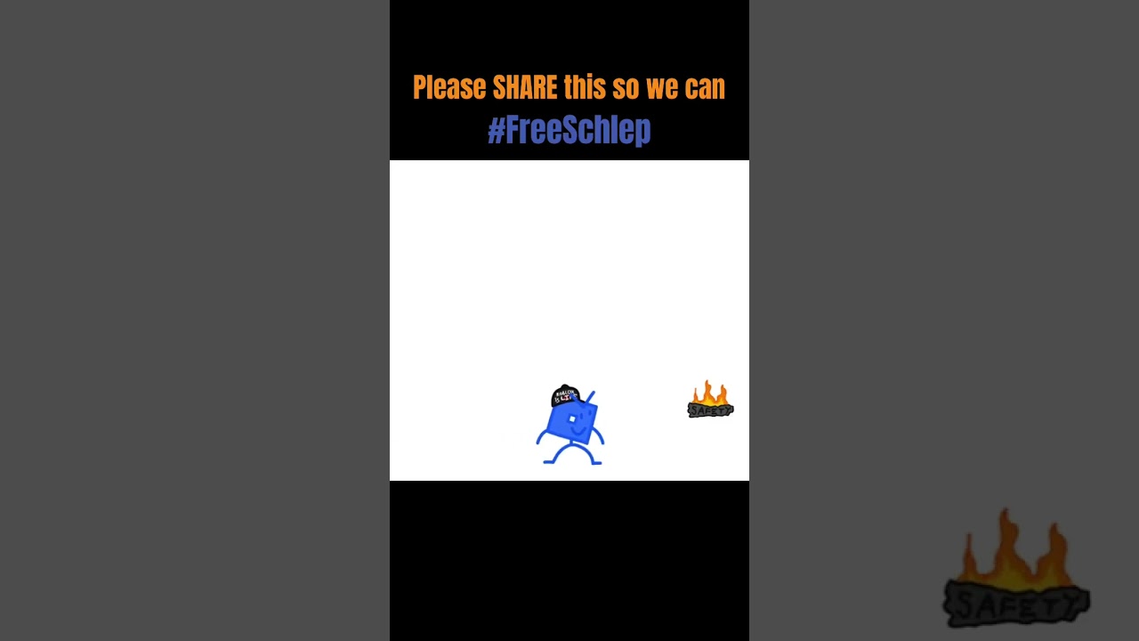 The Schlep Ban In a Nutshell 