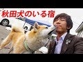 大館名物、秋田犬と遊ぶ！【1906秋田12】大館駅 6/15-101