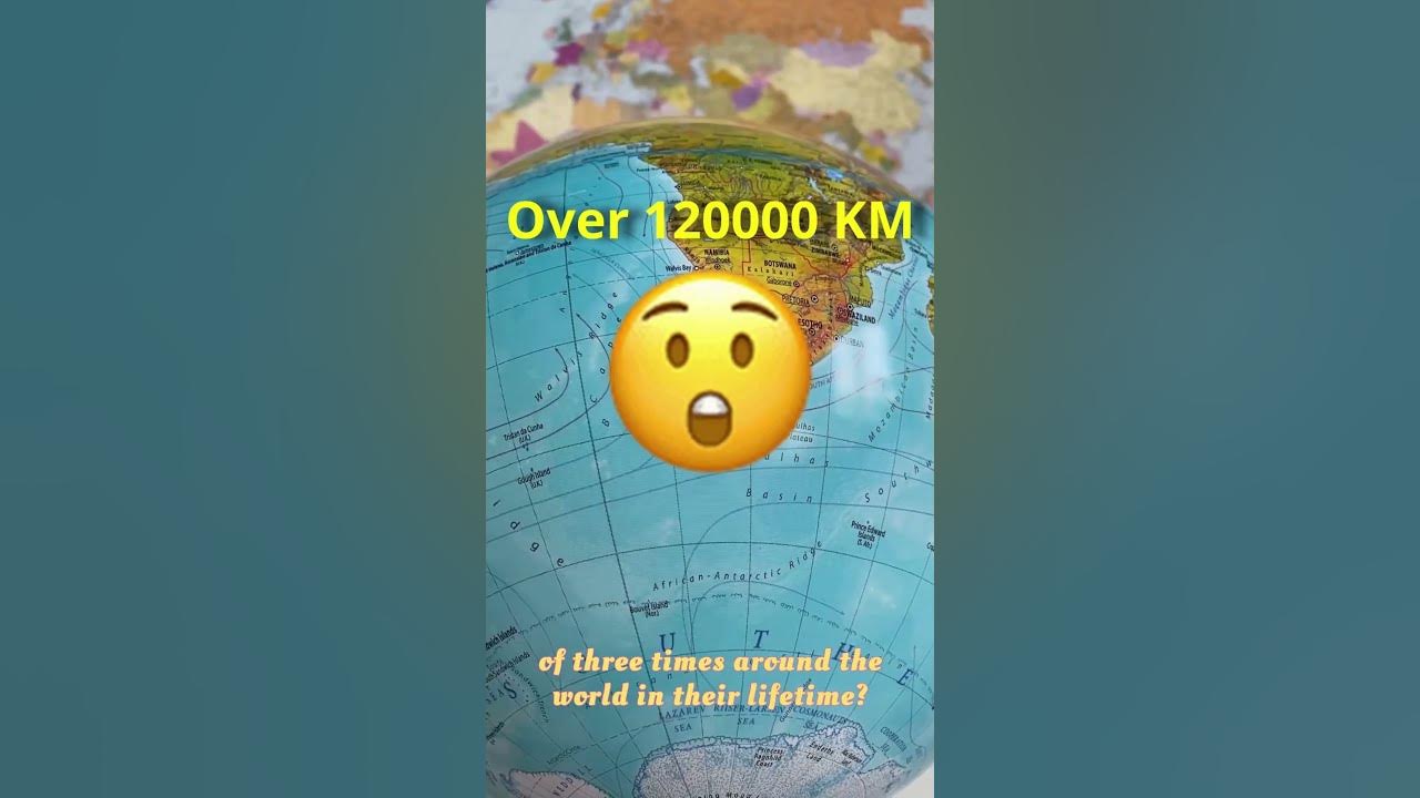 how-much-does-an-average-person-walk-youtube