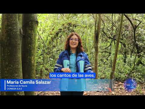 Exploración de biodiversidad en el Humedal La Florida