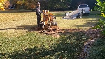 Your first time running a stump grinder