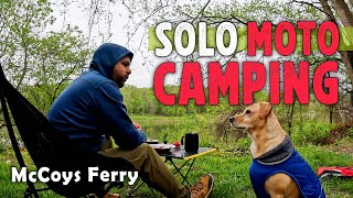 Epic Solo MotoCamping river side with my dog at McCoys Ferry #motocamping #kawasaki