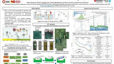 Detection of 80um polystyrene microbeads in saline water using impedance flow cytometry