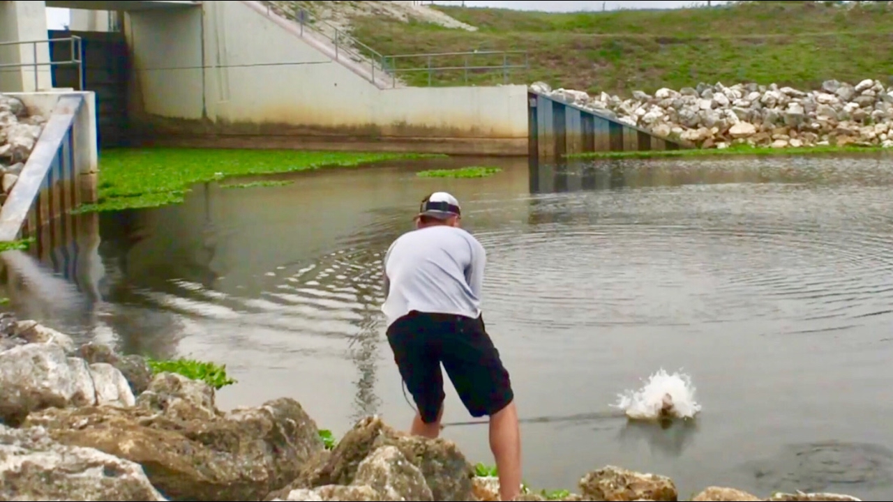 Bass Fishing Down by the Locks