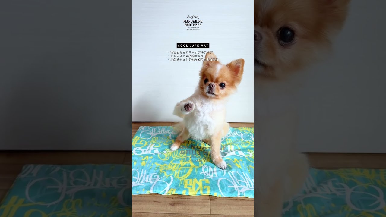 COOL CAFE MAT クールカフェマット | MANDARINE BROTHERS マンダリン