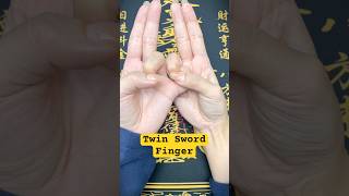 Channel the righteous energy of heaven and earth to purge all evil #daoist #magic#handgesture