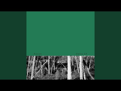 Raxon — Jungle Express (Original Mix)