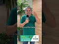 Linha de Crédito de Financiamento do 13º Salário do Sicoob Credisete!