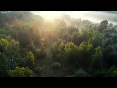 გაზაფხულო ლამაზო_gazafxulo lamazo