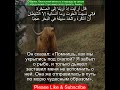 Сура Аль-Кахф 18:63 | Чтение Корана с русским переводом| Quran Translation Surah Al-Kahf  الكهف