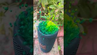 JBL flip 6 colour mixing bass test