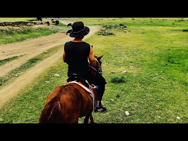 L'aventure nomade en Mongolie // Nomadic adventure in Mongolia