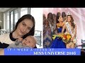 IF I WERE A JUDGE AT MISS UNIVERSE 2016 | Who was left out of the semi-finals?