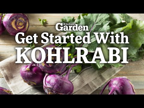 Video: Kohlrabi - Kubis Tanpa Pengikat Dan Pakaian