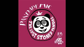 THE LOST STONED PANDAS - THE GREAT LOCKDOWN OF 2020 (THE ORB&#39;S FREEDOM OVER FEAR MIX)