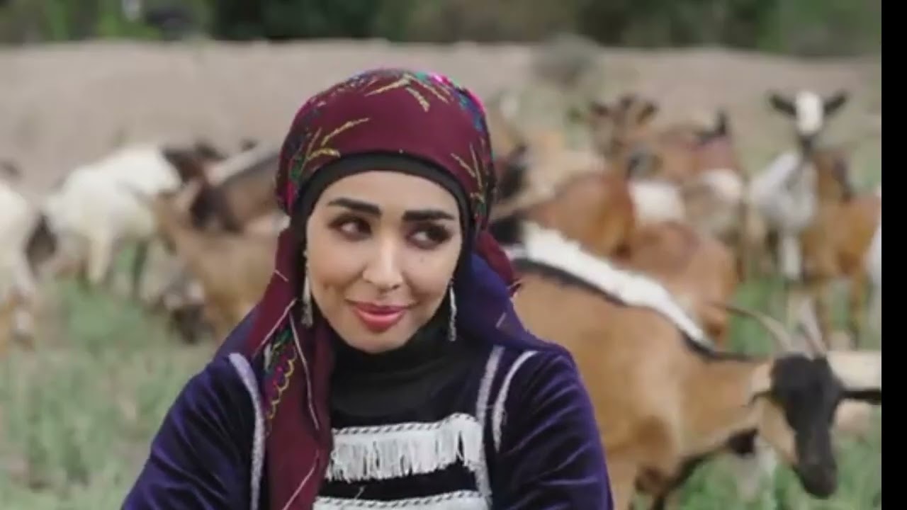 رشا تضرب المفصع وتكسر سيارته🫡😹ومقناص يتقدم في ابيت شعريه💍😳لايفوتك 🔥#ضحك  #مسلسل #دروب_المرجلة