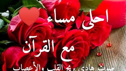 مساء الخير /حالات واتس اب مسائية/قران كريم مساء الخير/مقاطع فيديو دينية قصيرة مساء الخير