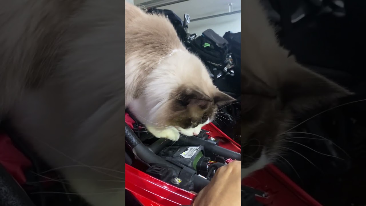 Меняем глушитель на Ducati Supersport 950￼