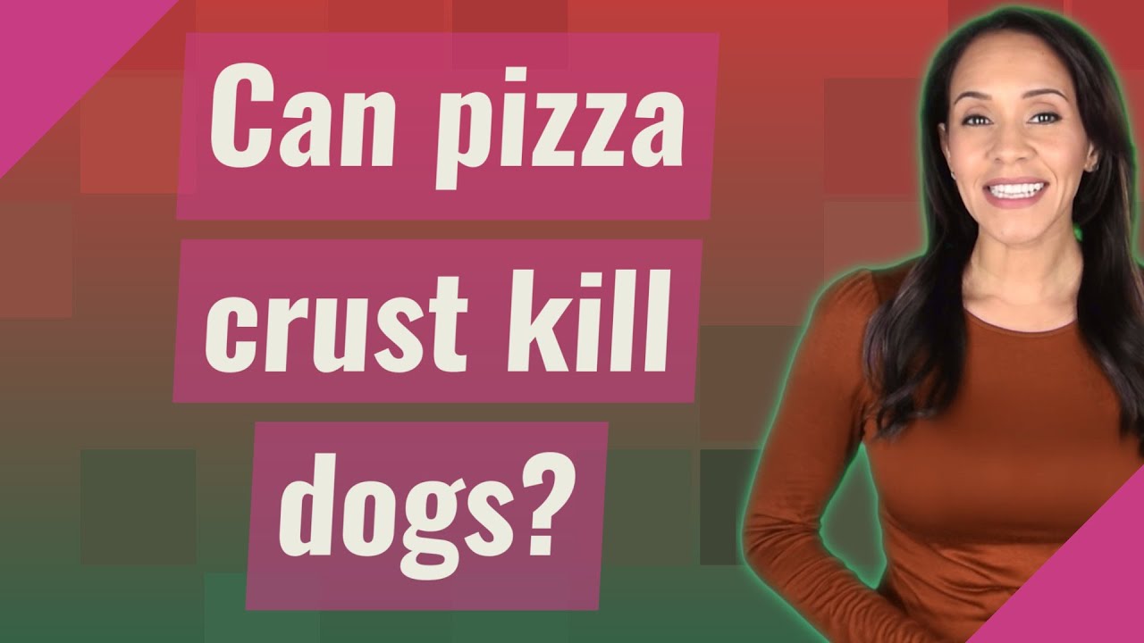 Can Pizza Crust Kill Dogs?