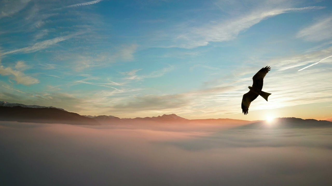 I Am The Creator Of My Life- मी माझ्या वास्तवाची निर्माती आहे.