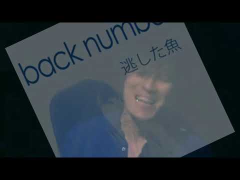 海岸通り/back number live
