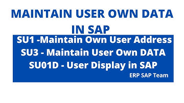 SU1-Maintain User Own Address II SU3-Maintain User Own Data IISU01D- Display any User Details in SAP