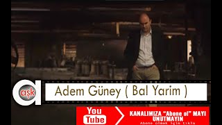 Adem Güney - Bal Yarim Resimi