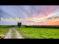 Joe Nichols - Tequila Makes Her Clothes Fall Off (Lyrics)