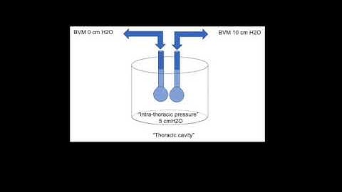 PEEP in healthcare simulation with ventilator