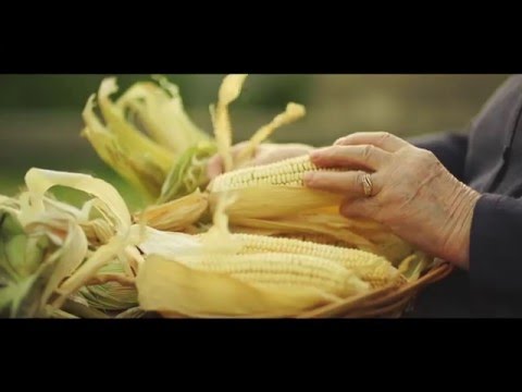 სოფლად მცხოვრებ ქალთა საჭიროებები