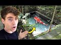 Hidden KOI POND in Sacred  Forest... (enter at own risk)