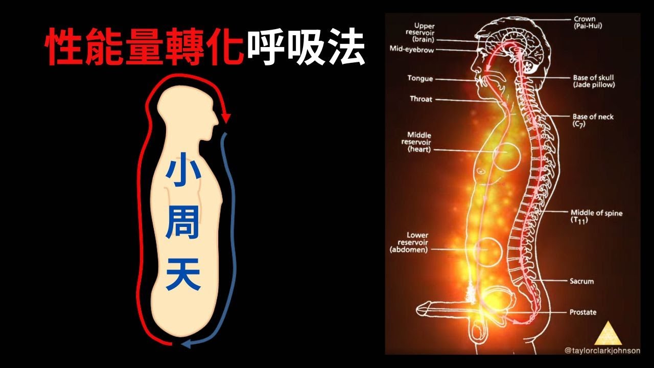小周天呼吸法|性能量轉化|簡單有效 - YouTube
