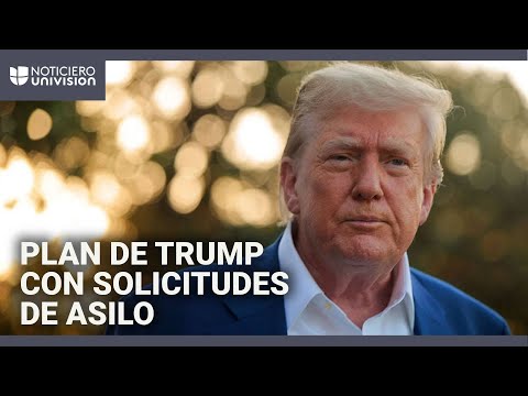 Trump planea poner