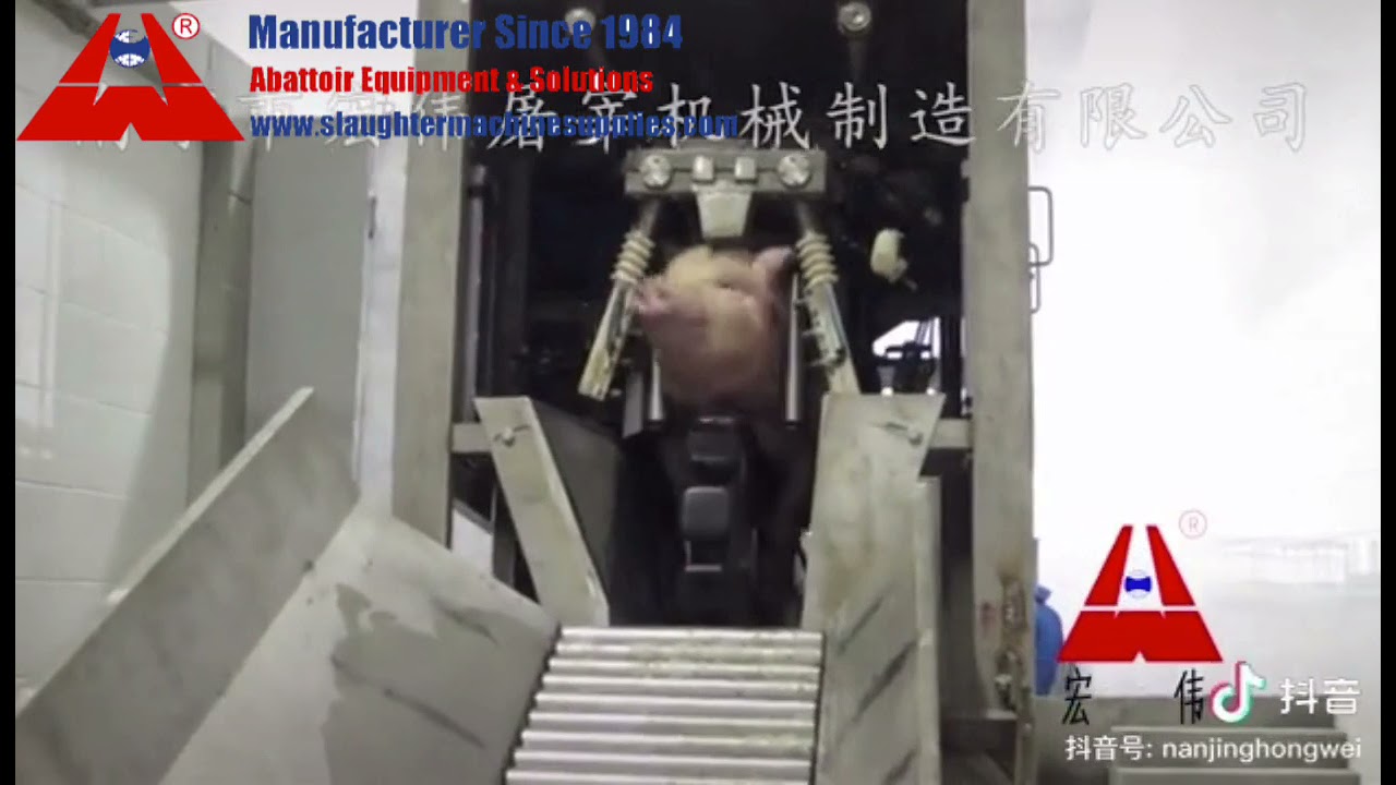 Three points stunning conveyor line pig hog abattoir slaughtering equipment meat processing machine