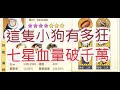 「一拳超人」七星警犬俠來啦!可能比劍神還要狂啊?最強之男 文老爹