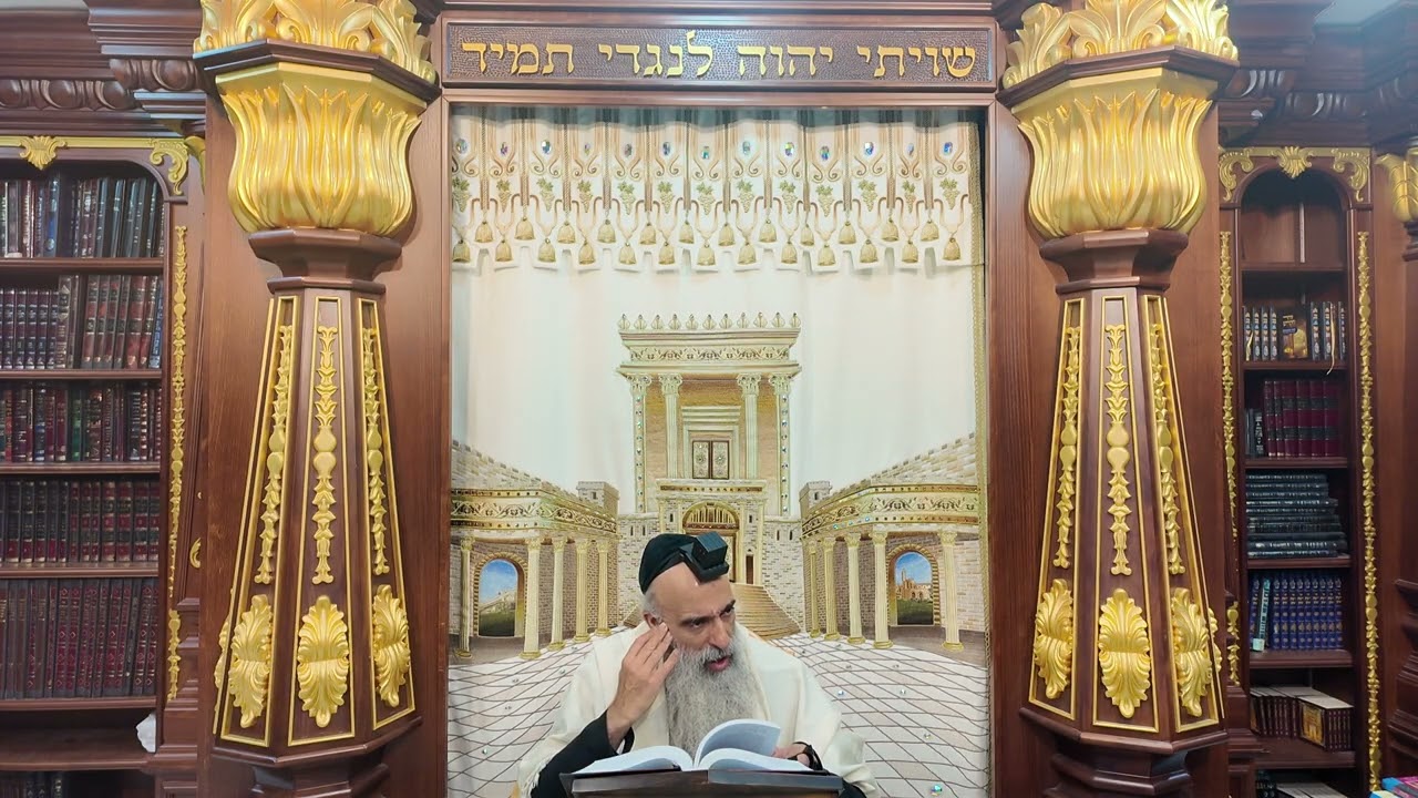 הרב מאיר דוד שמואלי שליט"א - הלכות שבת שולחן ערוך סימן ש"ז