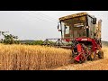 Live: Wheat production base in central China's Henan Province – Ep. 12