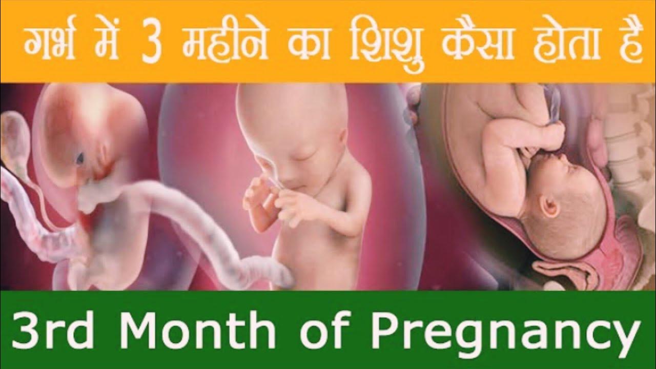 Lower Back Pain In 3rd Month Pregnancy